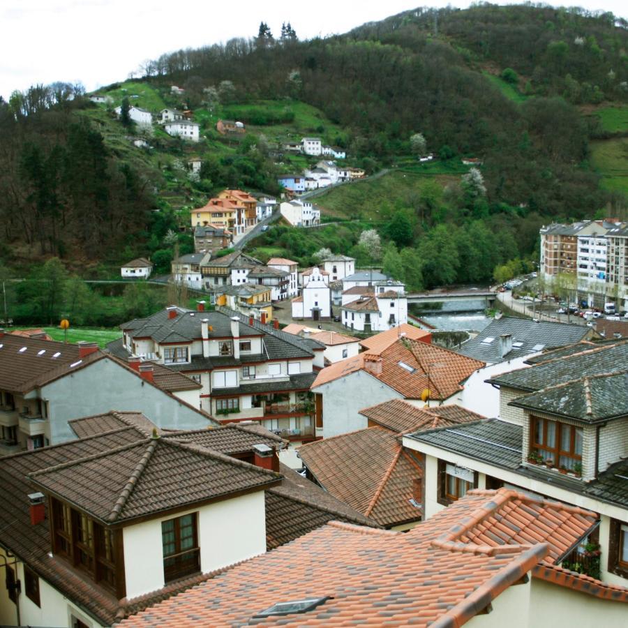 La Refierta Apartment Cangas De Narcea Bagian luar foto